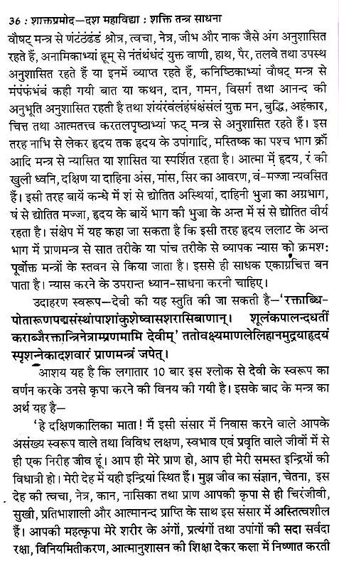 शाक्तप्रमोद- दश महाविद्या : शक्ति तन्त्र साधना: Shaktapramod- Ten Mahavidya: Shakti Tantra Sadhana - Retail Maharaj