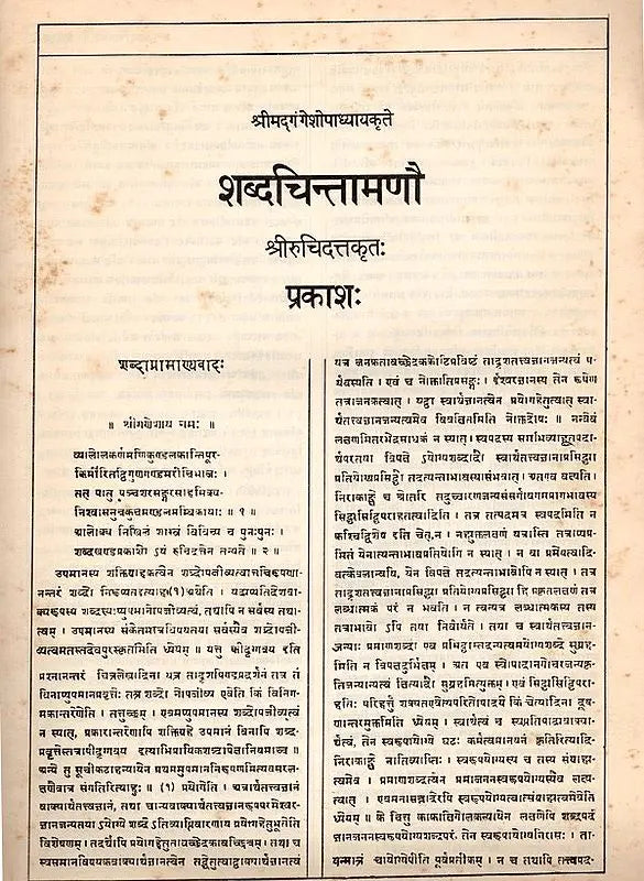 Sabdacintamani-Prakasa- A Gloss by Rucidatta Misra on the Sabdakhanda of Gangesa's Tattvacintamani (An Old and Rare Book) - Retail Maharaj