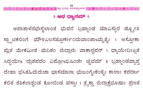 Srirudra-Chamakadhyayam with Sasvara Sahitam (Kannada) - Retail Maharaj