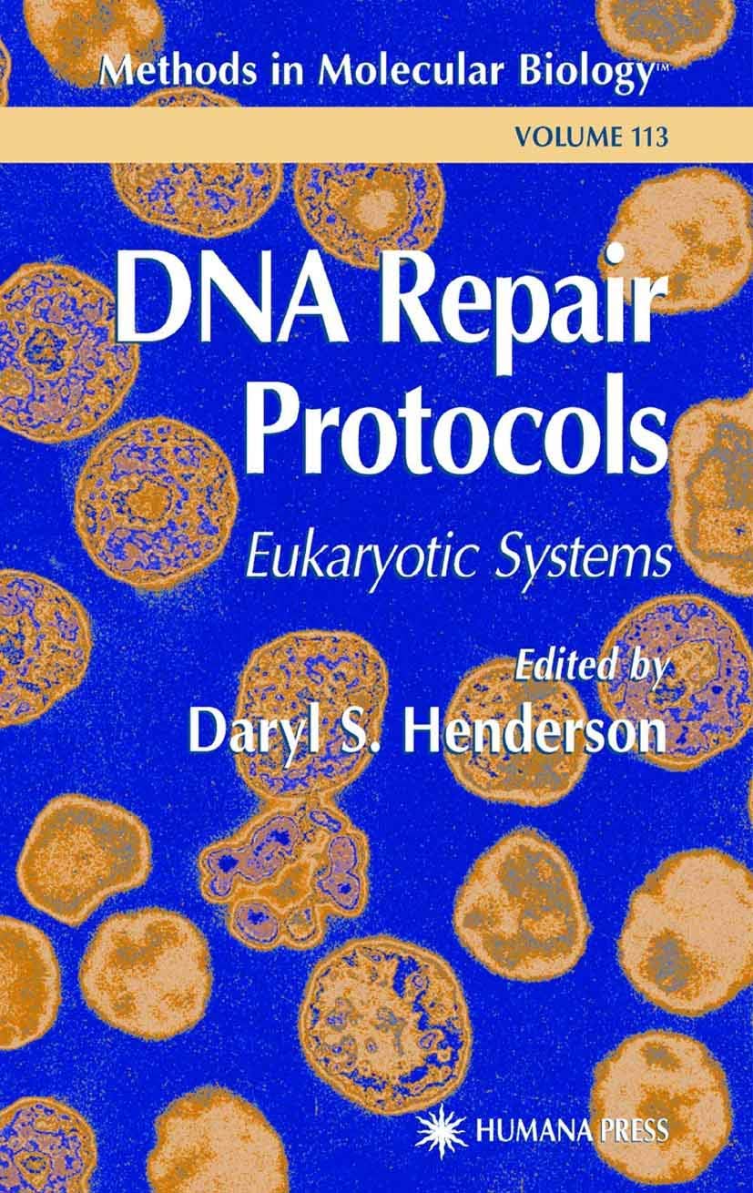 DNA Repair Protocols: 113 (Methods in Molecular Biology) - Retail Maharaj