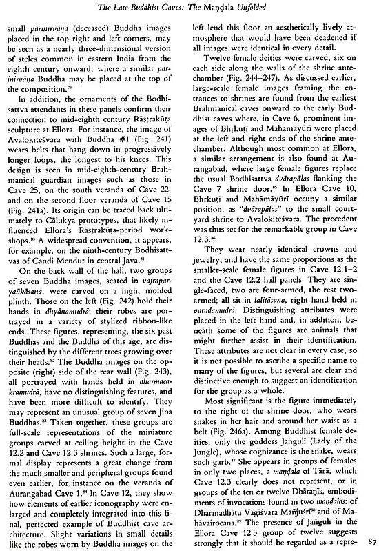 Unfolding a Mandala: The Buddhist Cave Temples at Ellora - Retail Maharaj