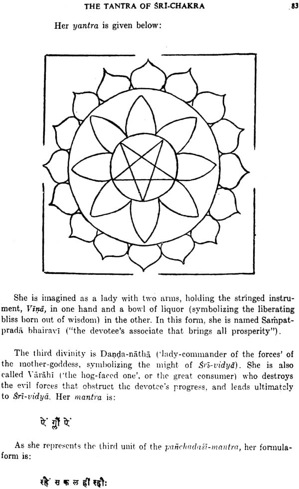 Sri-Chakra Its Yantra, Mantra and Tantra - Retail Maharaj