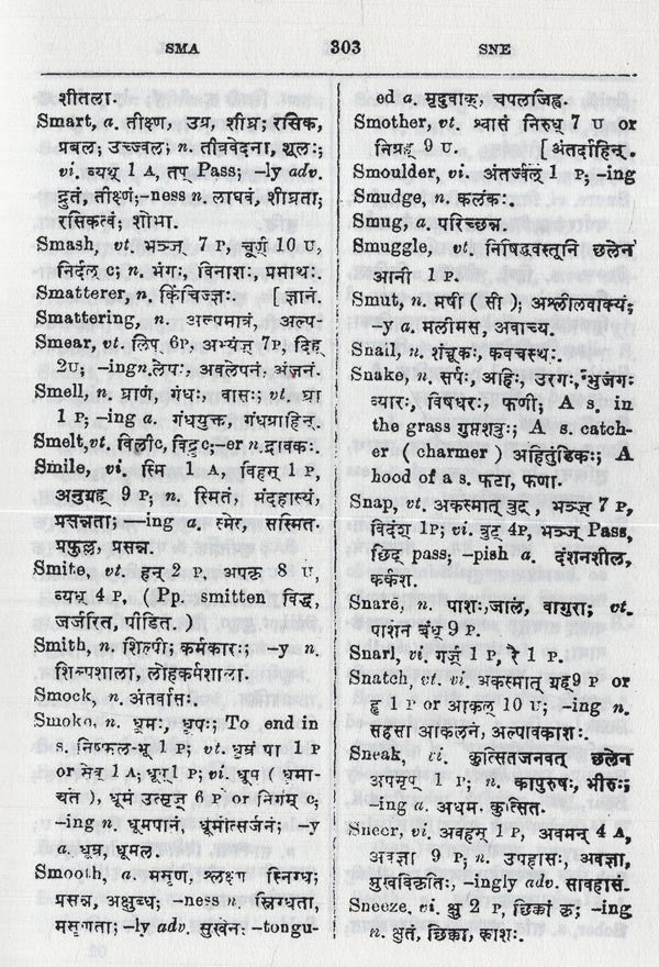The Concise English-Sanskrit Dictionary - Retail Maharaj