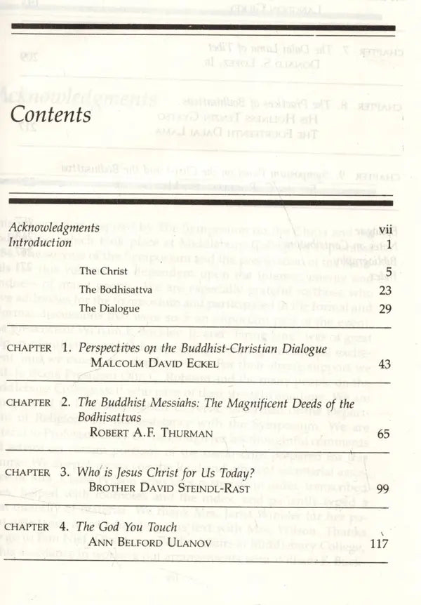 The Christ and the Bodhisattva - Retail Maharaj