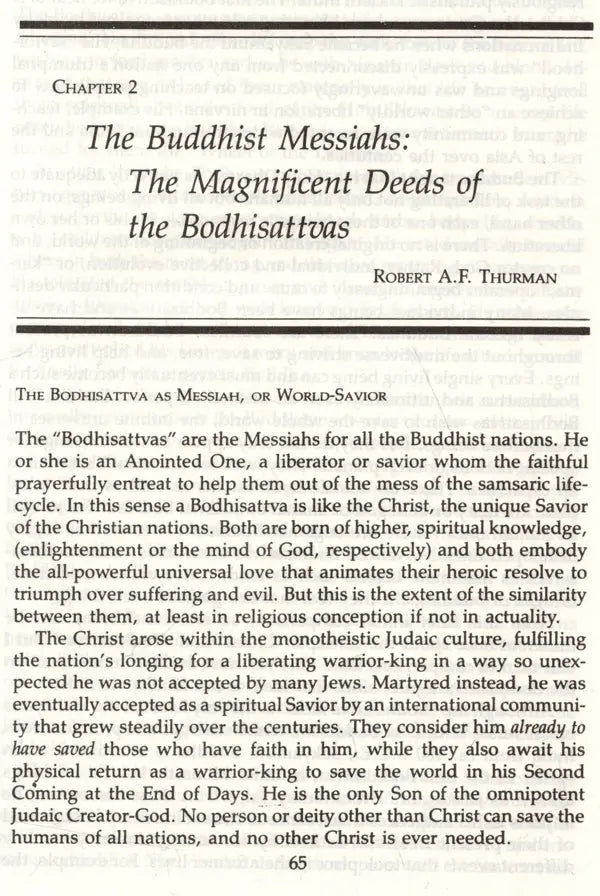 The Christ and the Bodhisattva - Retail Maharaj