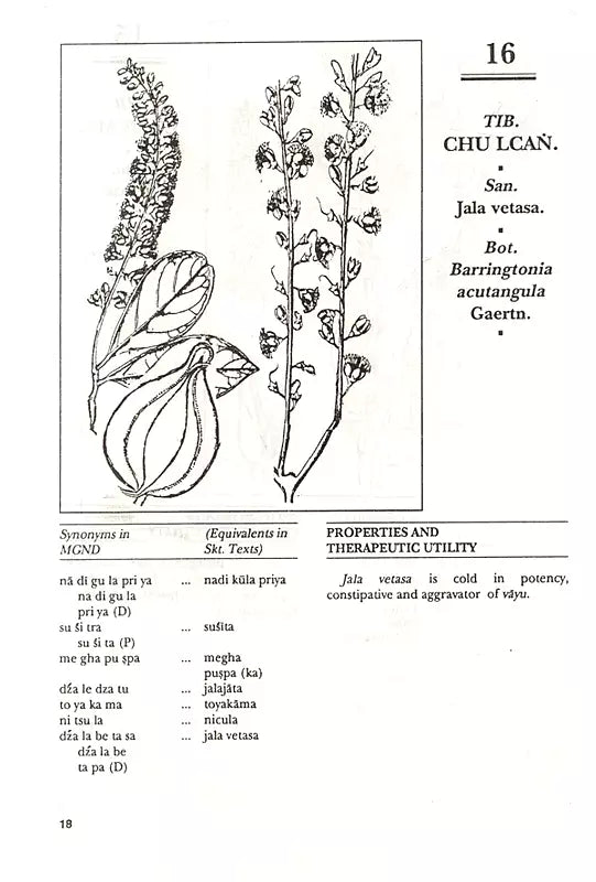 Materia Medica of Tibetan Medicine - Retail Maharaj