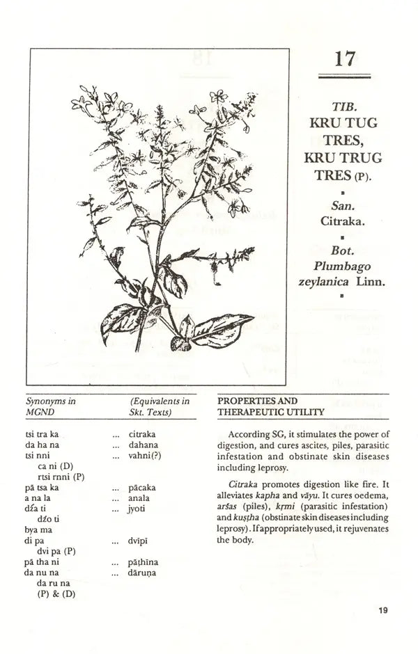 Materia Medica of Tibetan Medicine - Retail Maharaj