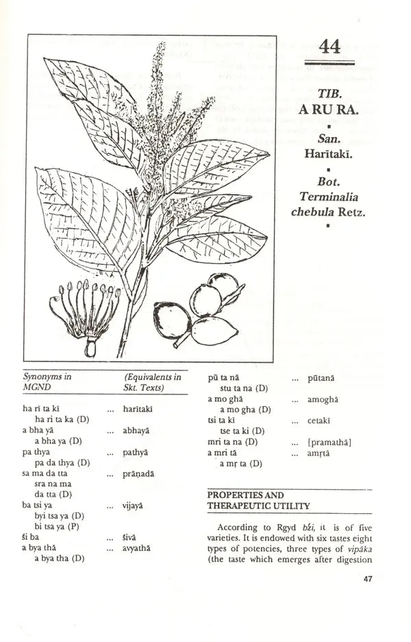 Materia Medica of Tibetan Medicine - Retail Maharaj