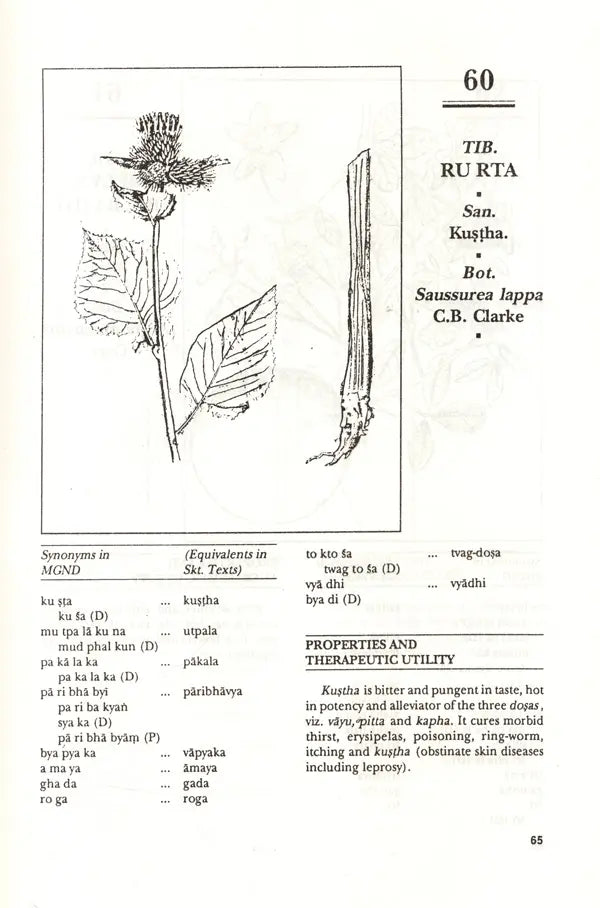 Materia Medica of Tibetan Medicine - Retail Maharaj