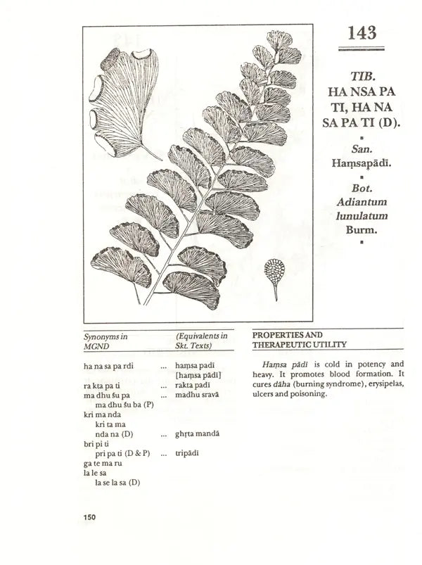 Materia Medica of Tibetan Medicine - Retail Maharaj