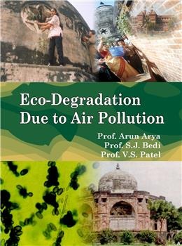 Eco-Degradation Due to Air Pollution - Retail Maharaj