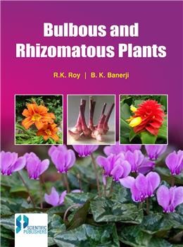 Bulbous and Rhizomatous Plants - Retail Maharaj