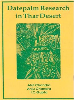Datepalm research in Thar Desert - Retail Maharaj