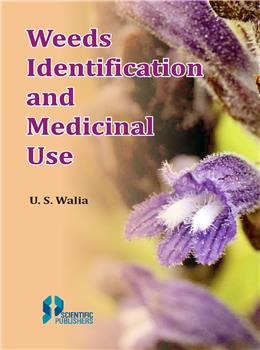 Weeds Identification and Medicinal Use - Retail Maharaj