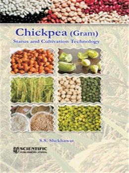 Chickpea (Gram) Status and Cultivation Technology - Retail Maharaj