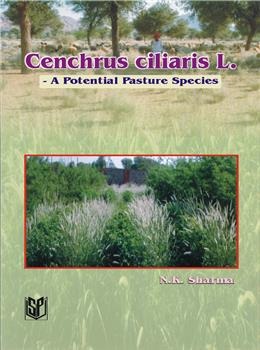 Cenchrus Ciliaris L: A Potential Pasture Species - Retail Maharaj