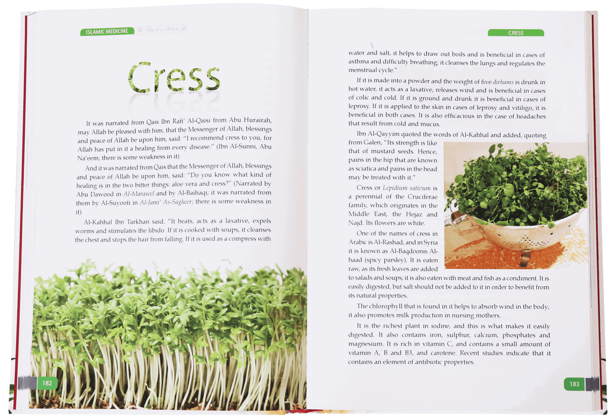 Islamic Medicine – The Key to a Better Life - Retail Maharaj