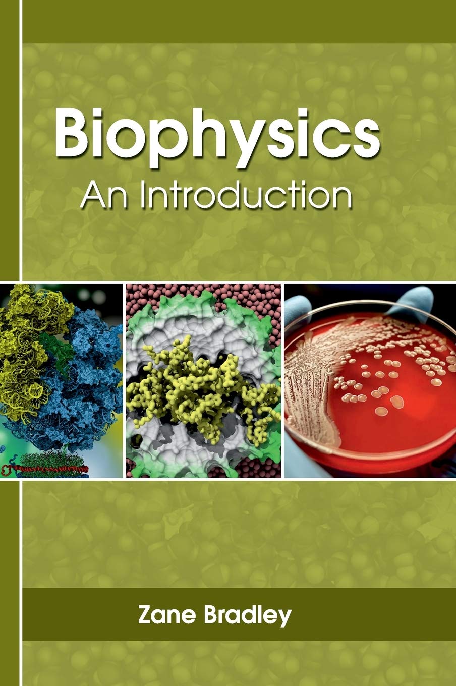 Biophysics: An Introduction - Retail Maharaj