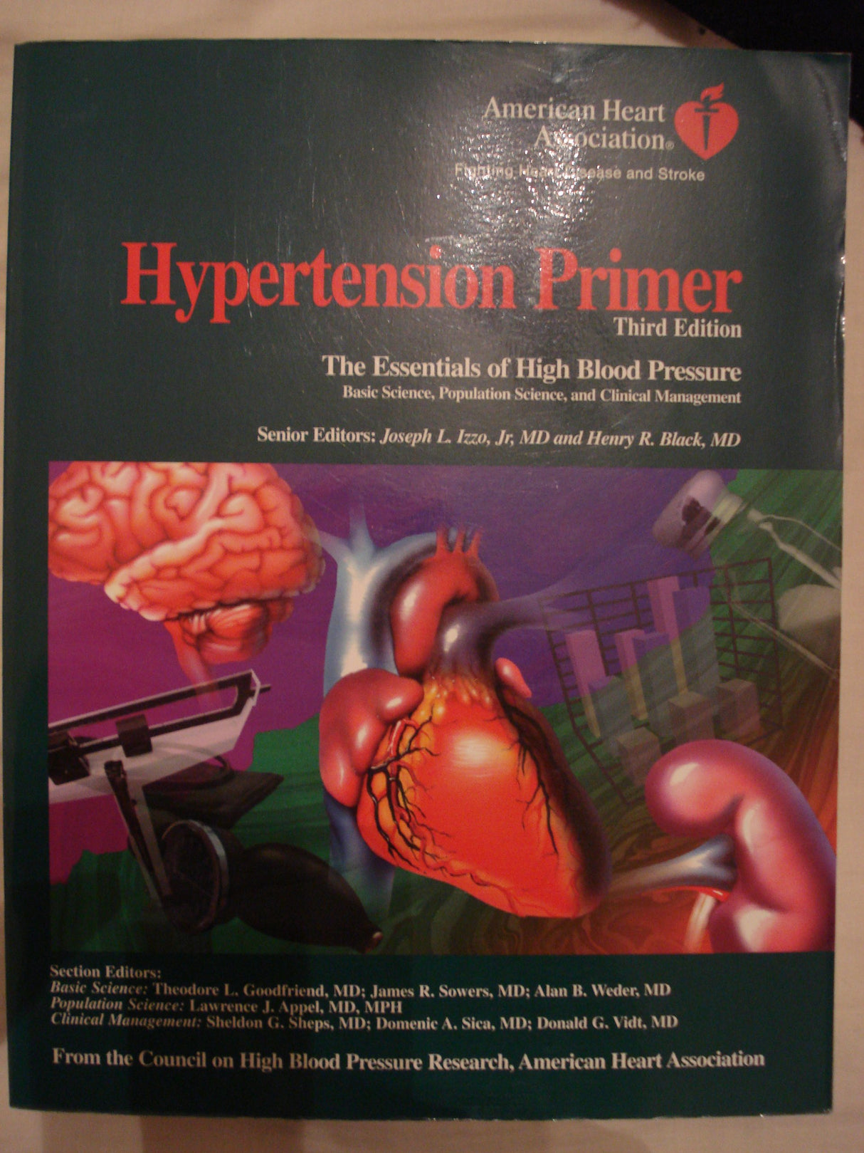 Hypertension Primer: The Essentials of High Blood Pressure - Retail Maharaj