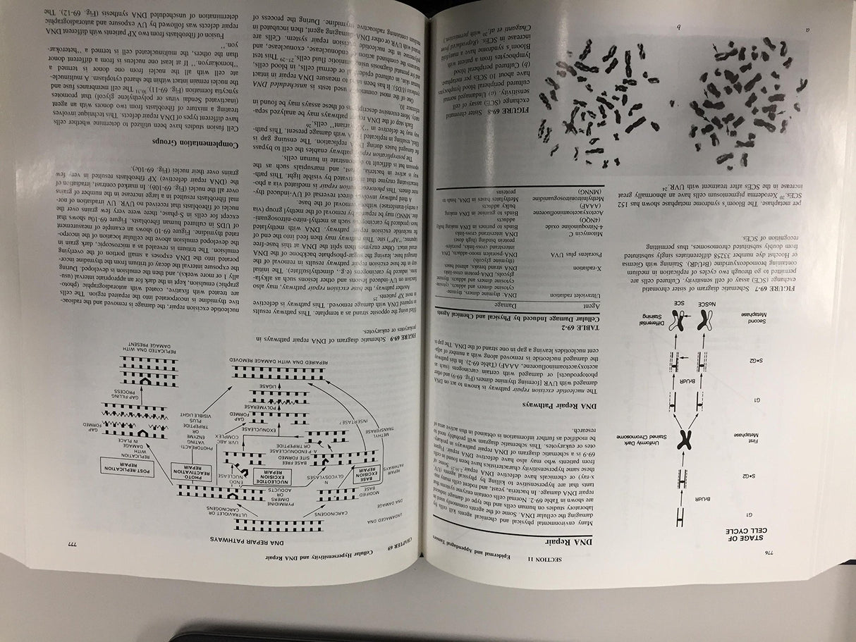 Dermatology in General Medicine: 001 - Retail Maharaj