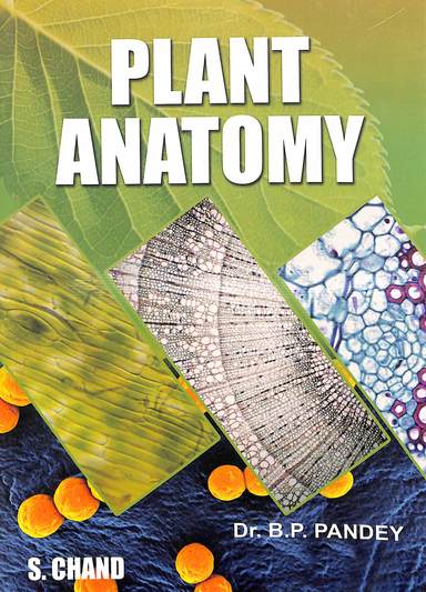 Plant Anatomy - Retail Maharaj
