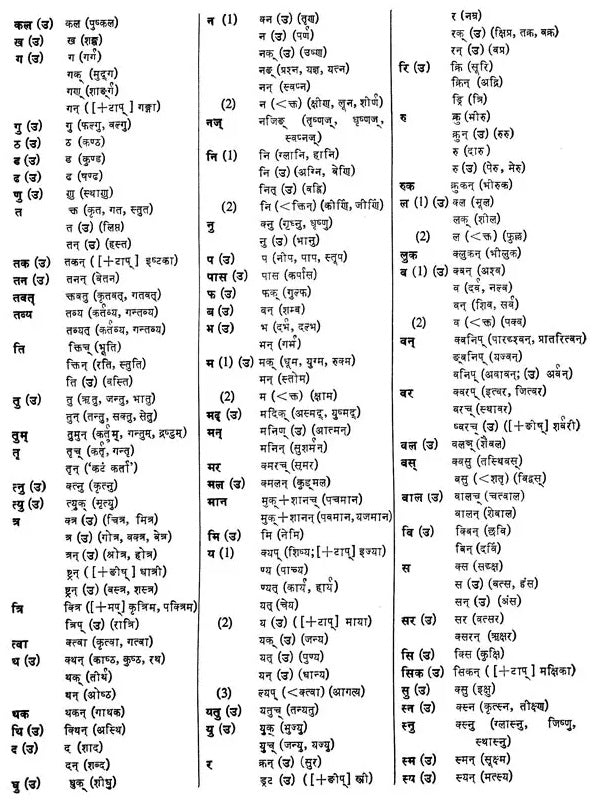 Padmacandrakosa A Comprehensive Sanskrit Hindi Dictionary (An Old and Rare Book) - Retail Maharaj