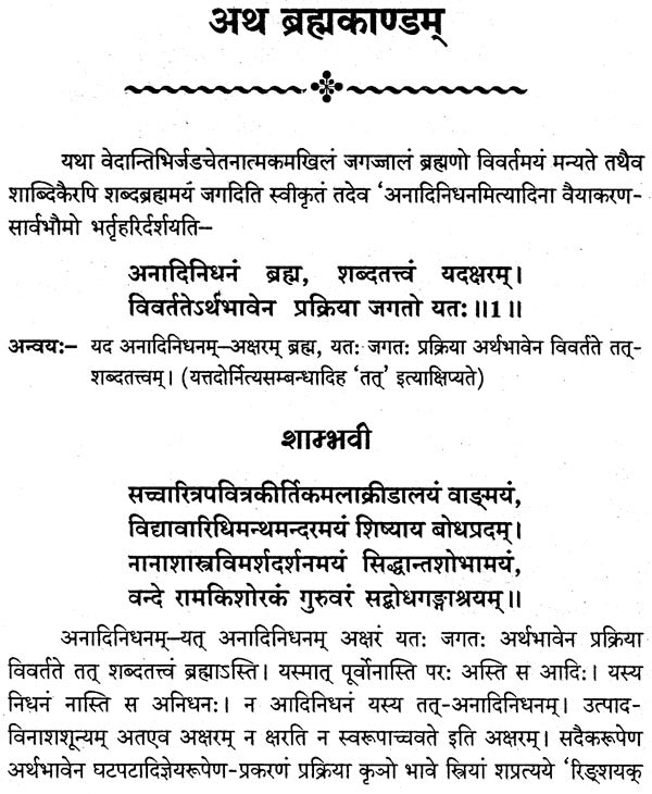 वाक्यपदीयम्: Vakyapadiyam - Retail Maharaj