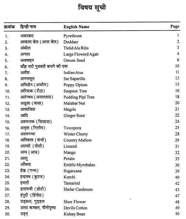 दिव्य औषधि विज्ञान - The Science of Divine Medicine - Retail Maharaj