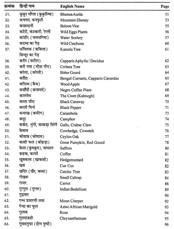 दिव्य औषधि विज्ञान - The Science of Divine Medicine - Retail Maharaj