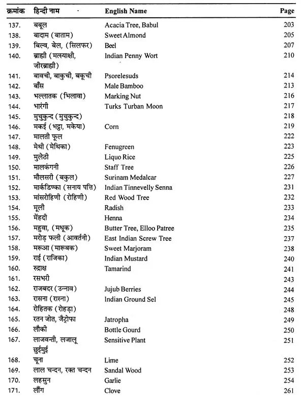 दिव्य औषधि विज्ञान - The Science of Divine Medicine - Retail Maharaj