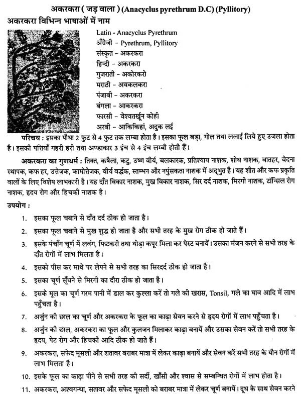 दिव्य औषधि विज्ञान - The Science of Divine Medicine - Retail Maharaj