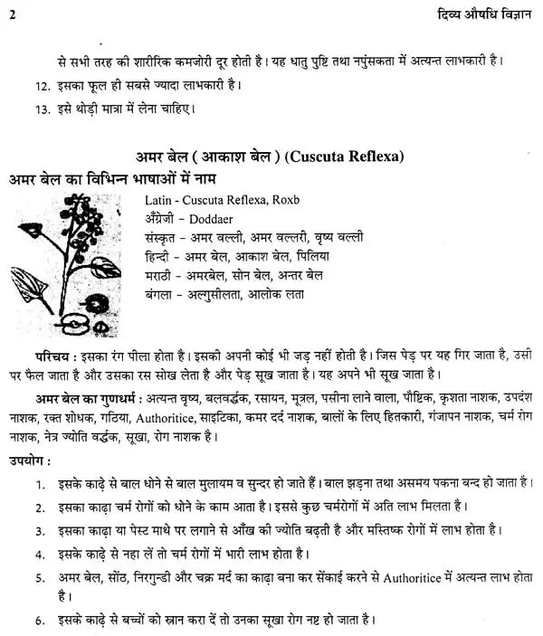 दिव्य औषधि विज्ञान - The Science of Divine Medicine - Retail Maharaj