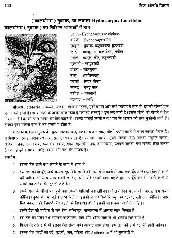 दिव्य औषधि विज्ञान - The Science of Divine Medicine - Retail Maharaj