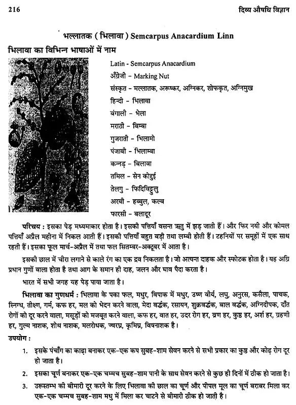 दिव्य औषधि विज्ञान - The Science of Divine Medicine - Retail Maharaj