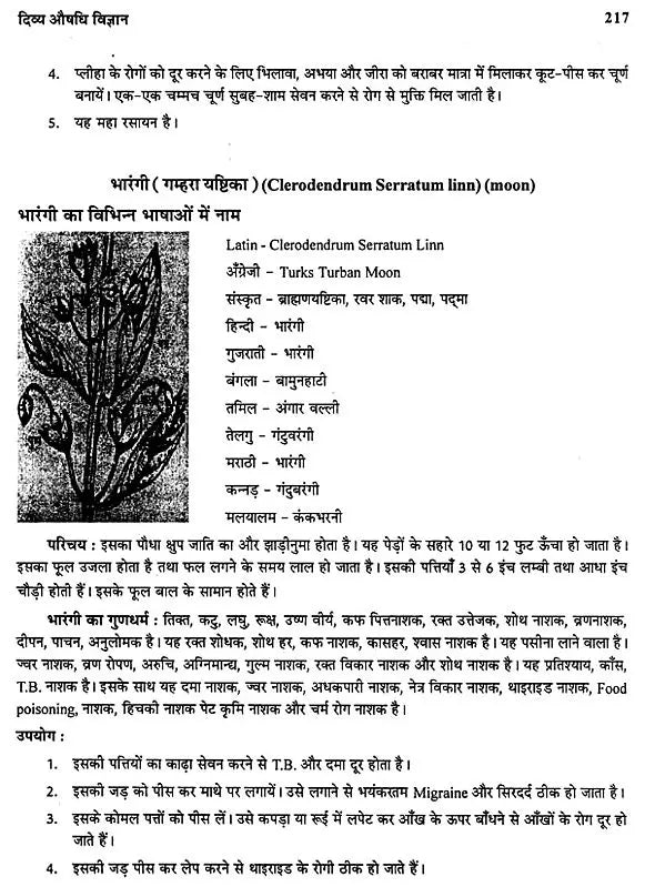 दिव्य औषधि विज्ञान - The Science of Divine Medicine - Retail Maharaj