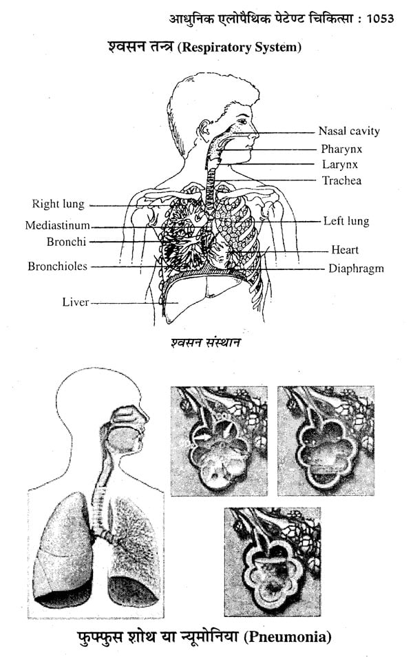 आधुनिक एलोपैथिक पेटेण्ट चिकित्सा चार्ट्स विद् मेटिरिया मेडिका - Modern Allopathic (Patent Medical Chart with Materia Medica) - Retail Maharaj
