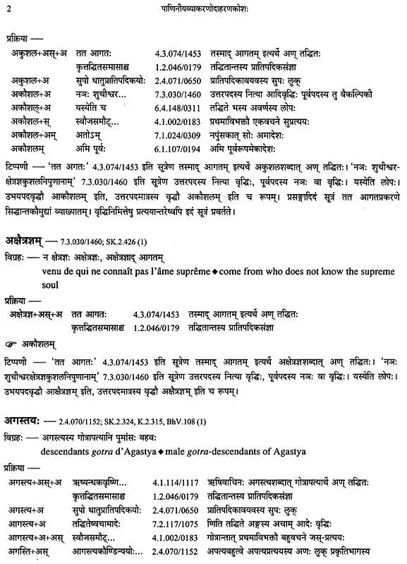Paninian Grammar Through its Examples (The Book of Secondary Derivatives) Set of Two Volumes - Retail Maharaj
