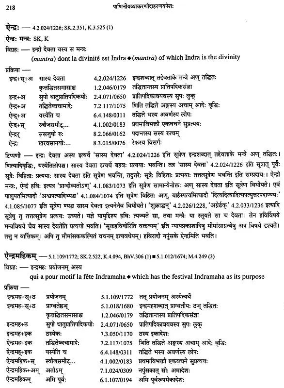 Paninian Grammar Through its Examples (The Book of Secondary Derivatives) Set of Two Volumes - Retail Maharaj
