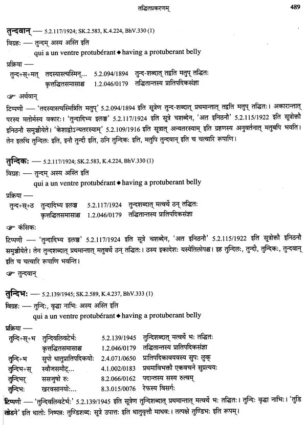 Paninian Grammar Through its Examples (The Book of Secondary Derivatives) Set of Two Volumes - Retail Maharaj