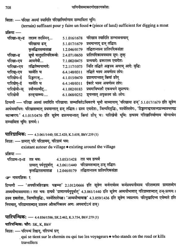 Paninian Grammar Through its Examples (The Book of Secondary Derivatives) Set of Two Volumes - Retail Maharaj