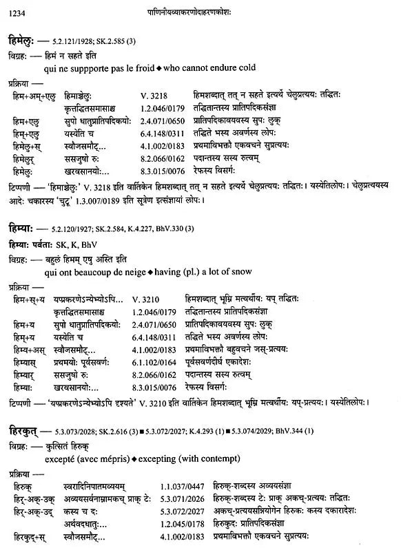 Paninian Grammar Through its Examples (The Book of Secondary Derivatives) Set of Two Volumes - Retail Maharaj