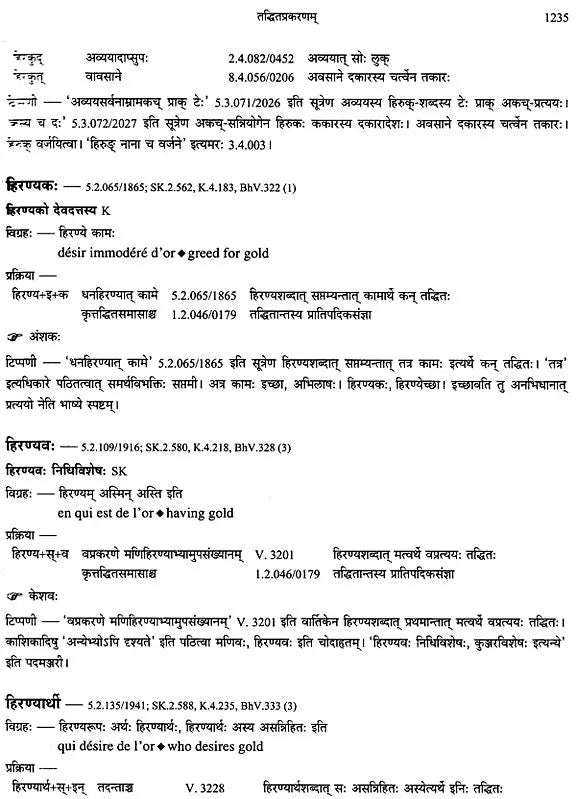 Paninian Grammar Through its Examples (The Book of Secondary Derivatives) Set of Two Volumes - Retail Maharaj