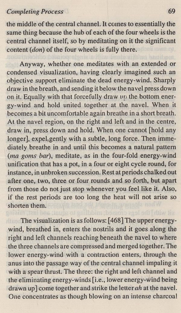 Dzog-chen meditation: Rdor sems thugs kyi sgrub pai khrid yig rab gsal snang ba (Bibliotheca Indo-Buddhica series) - Retail Maharaj