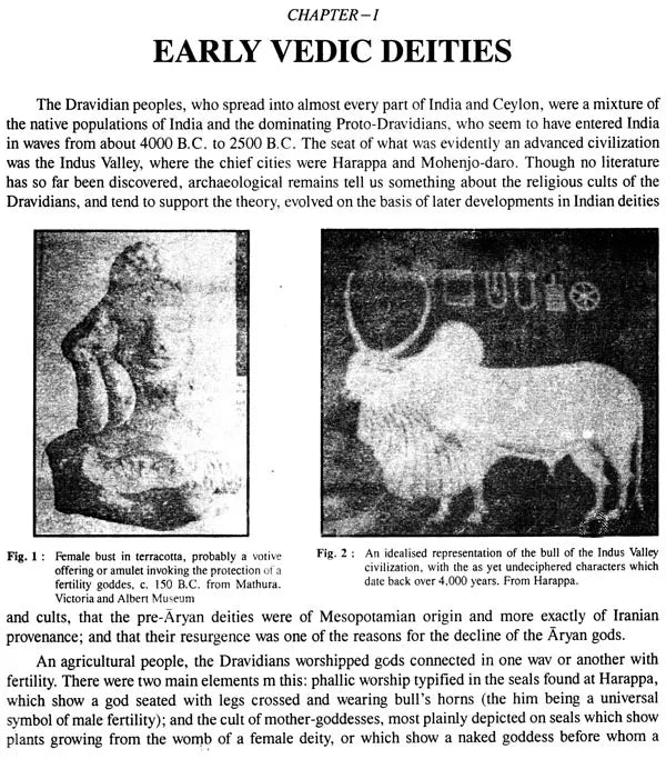 Gods and Goddesses in Indian Art and Literature - Retail Maharaj