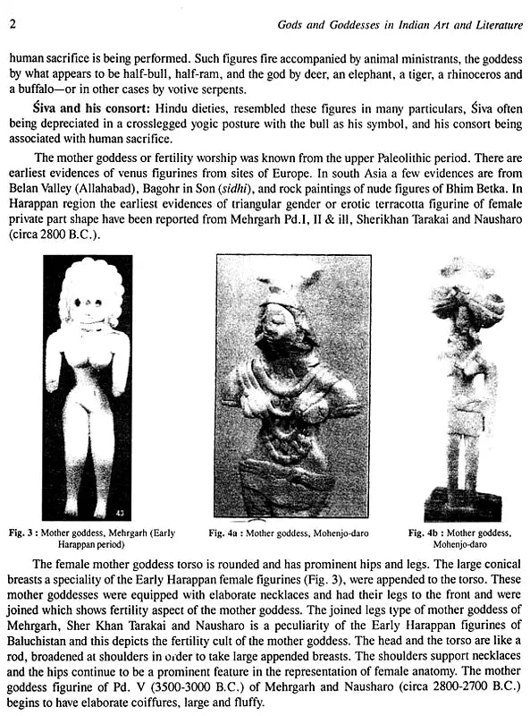 Gods and Goddesses in Indian Art and Literature - Retail Maharaj