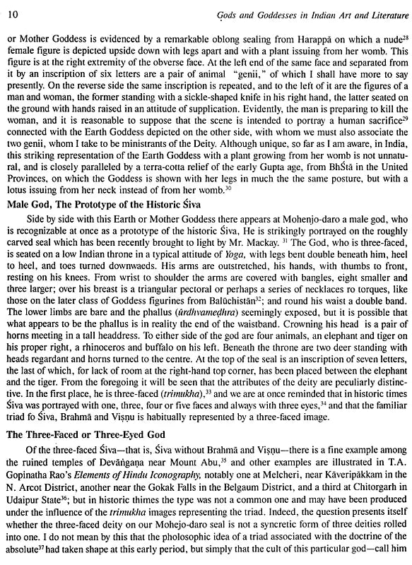 Gods and Goddesses in Indian Art and Literature - Retail Maharaj