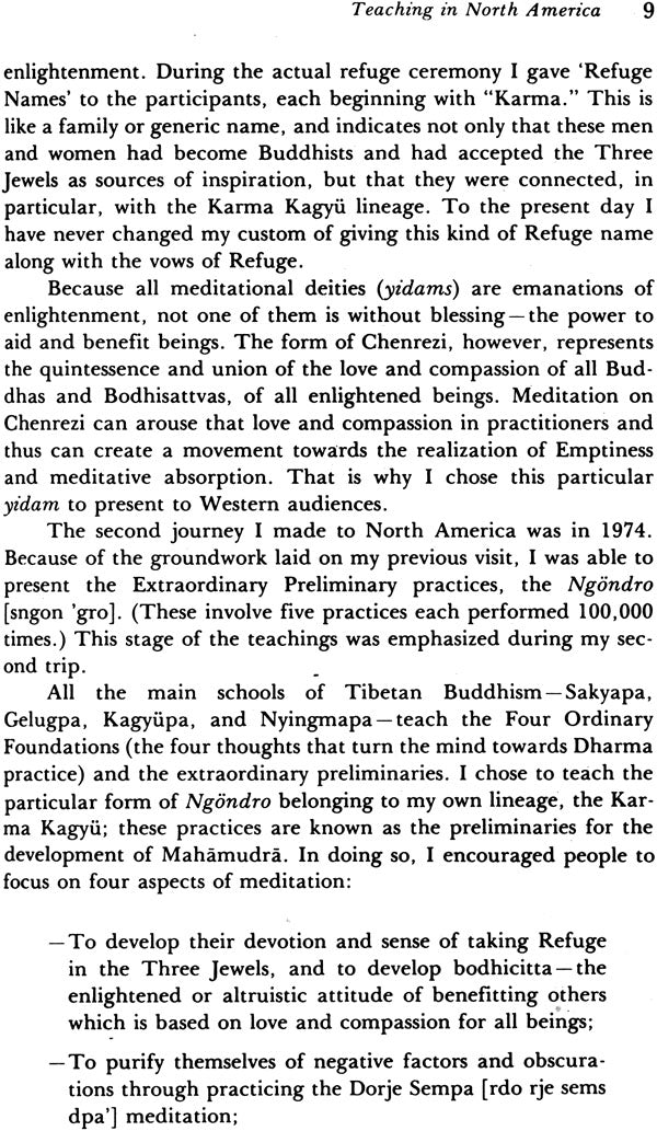 The Dharma, The: That Illuminates All Beings Impartially Like the Sun and the Moon - Retail Maharaj