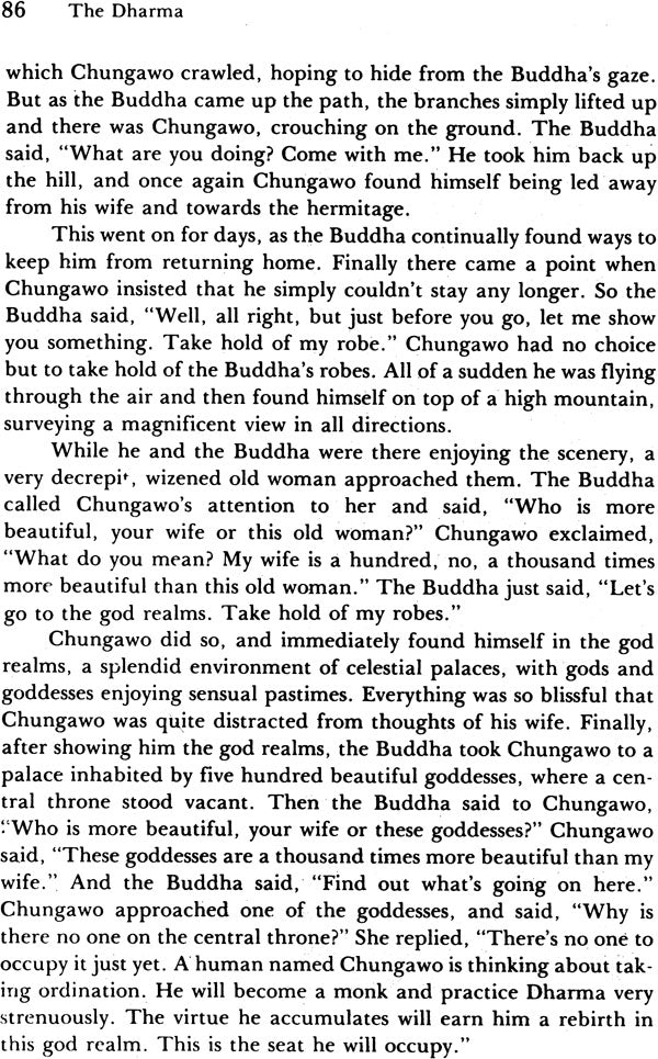 The Dharma, The: That Illuminates All Beings Impartially Like the Sun and the Moon - Retail Maharaj