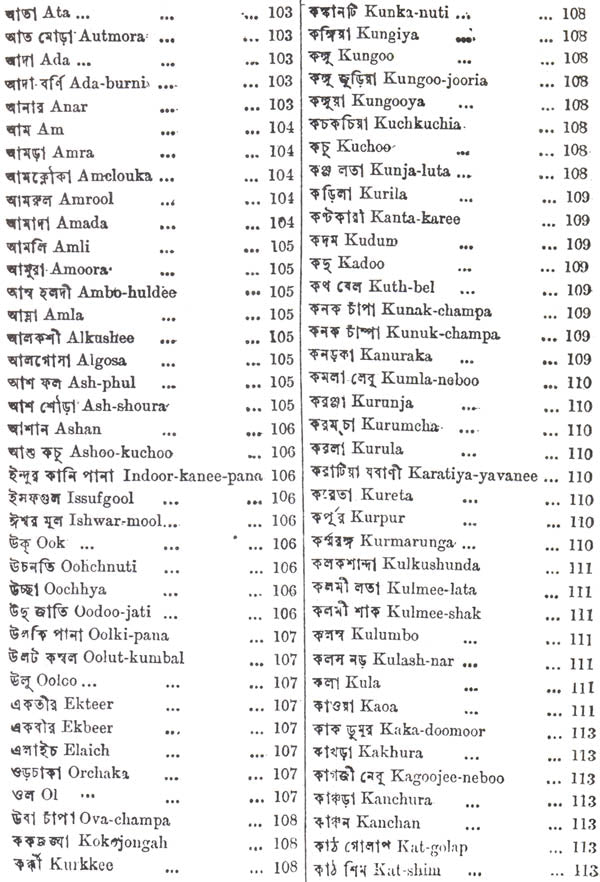 Hindu Practice of Medicine: no. 1 (Indian medical science series, no. 1) - Retail Maharaj