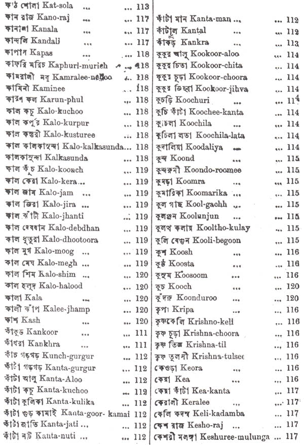 Hindu Practice of Medicine: no. 1 (Indian medical science series, no. 1) - Retail Maharaj